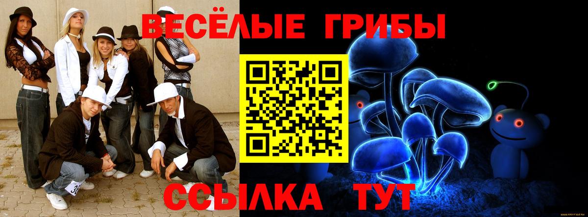 Псилоцибиновые грибы MAGIC MUSHROOMS Прохладный