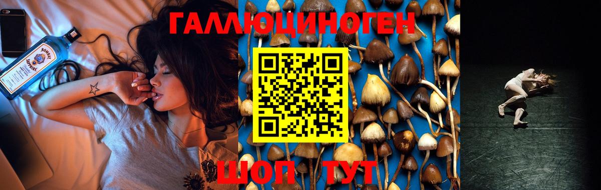 Псилоцибиновые грибы мухоморы  даркнет сайт  Прохладный  Вход с VPN  Галлюциногенные грибы MAGIC MUSHROOMS 